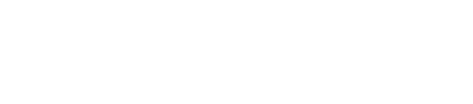 Cryptonary logo